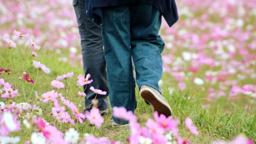 Midsection of person standing by purple flowering plants on field