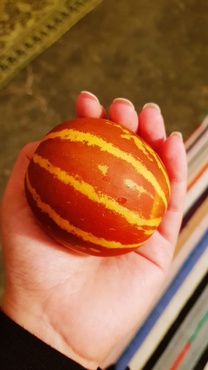 CLOSE-UP OF PERSON HAND HOLDING ORANGE