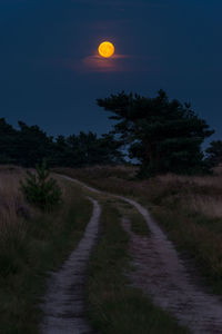 Road amidst trees against sky at night