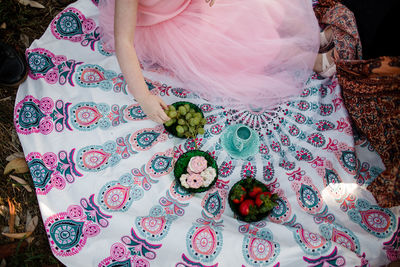 Small picnic close up of food and blanket