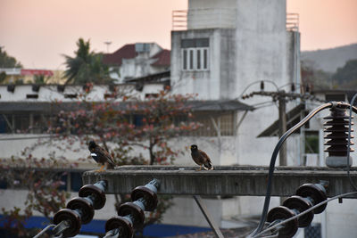 Birds perching on cable car against sky