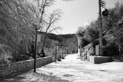 Walkway amidst bare trees against sky