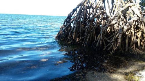 Scenic view of sea against clear sky