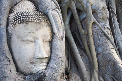 View of statue of buddha