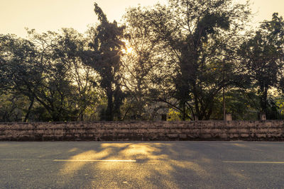 Road by trees against sky