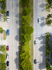 High angle view of city street and trees