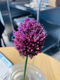 Close-up of pink flower vase on table