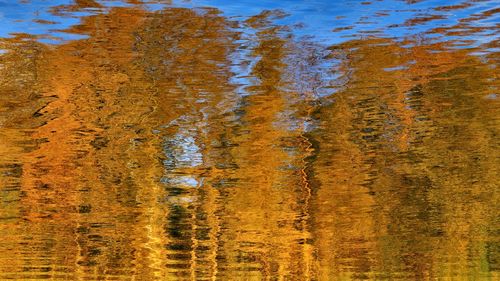 Full frame shot of sea water