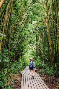 Rear view of man walking in forest
