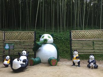 Panoramic view of birds on land