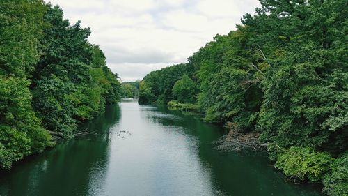 Scenic view of river amidst trees against cloudy sky
