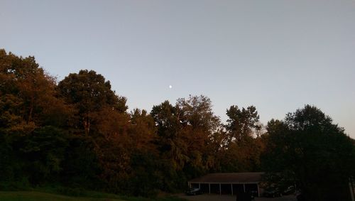 Scenic view of trees against clear sky