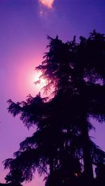 Low angle view of silhouette trees against blue sky