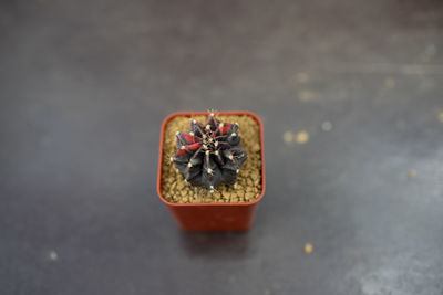 High angle view of cigarette in glass on table