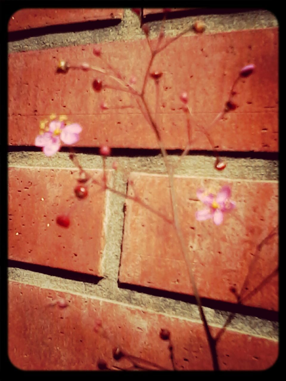 transfer print, red, close-up, auto post production filter, weathered, metal, full frame, rusty, textured, wall - building feature, high angle view, no people, backgrounds, pink color, day, outdoors, old, damaged, wood - material, wall