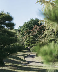 View of trees on landscape against sky