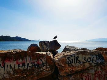 Birds perching on rock by sea against sky