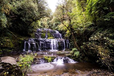 Water flowing through rocks in forest