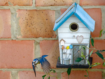 Bird perching on birdhouse against brick wall