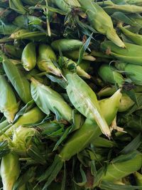 High angle view of vegetables