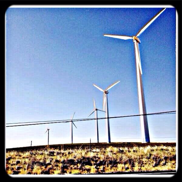 wind turbine, wind power, alternative energy, renewable energy, environmental conservation, windmill, fuel and power generation, transfer print, field, landscape, rural scene, technology, clear sky, auto post production filter, traditional windmill, blue, sky, copy space, built structure, farm