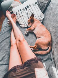 Low section of woman with dog resting