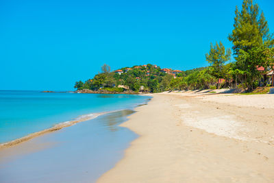 Scenic view of beach against clear blue sky
