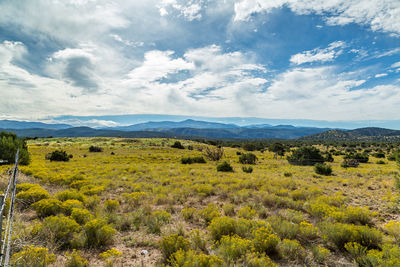 Scenic view of field against sky