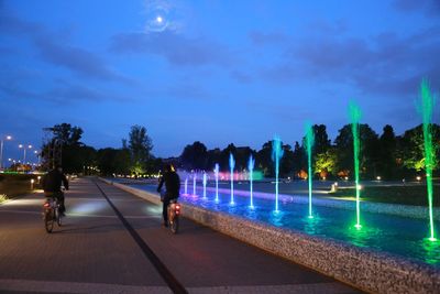 Rear view of people on illuminated city at night