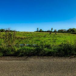 Scenic view of field against blue sky