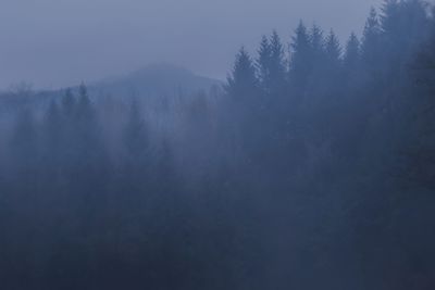 Scenic view of trees against sky during foggy weather