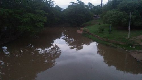 Scenic view of lake in forest