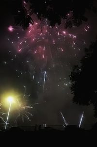 Low angle view of firework display at night