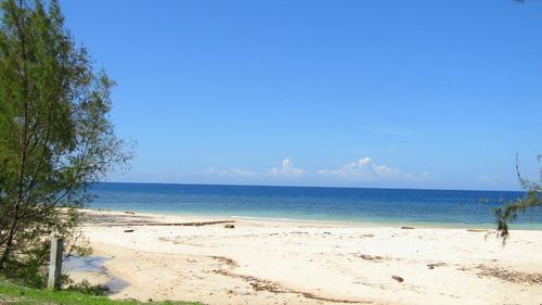 Scenic view of sea against blue sky