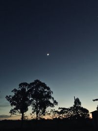 Silhouette trees against clear sky at night