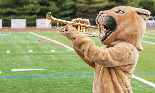 A cougar mascot standing sideways pretending to play a trumpet on an athletic turf field.