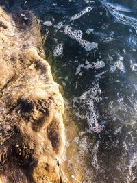 High angle view of sea waves