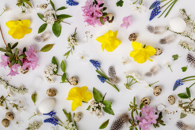 High angle view of flowers and eggs over white background