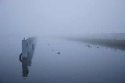 View of poles in calm lake against clear sky