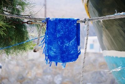 Close-up of clothes hanging on rope against trees