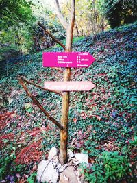 Road sign by trees in forest