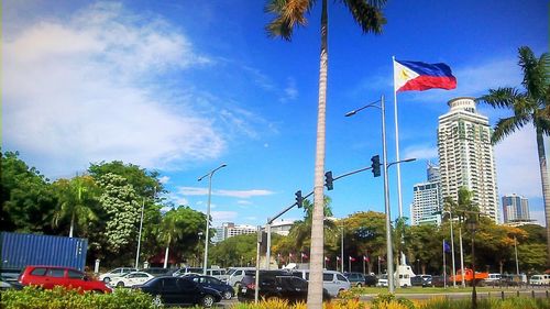 Cars on road by trees against sky in city