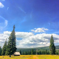 Scenic view of field against cloudy sky