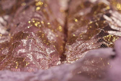 Full frame shot of golden and purple fabric