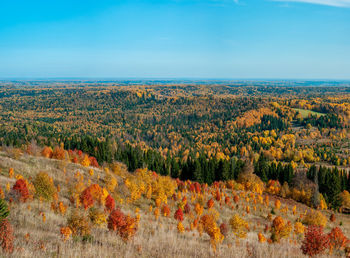 Scenic view of landscape against sky during autumn