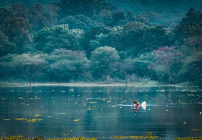 Man standing in lake against trees