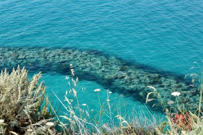 High angle view of sea shore