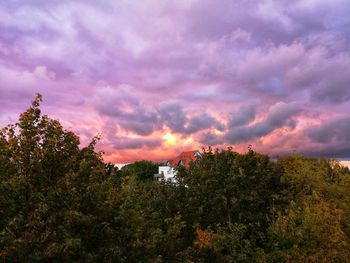Low angle view of trees against sky during sunset