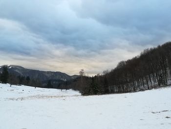 Scenic view of snowcapped field against sky