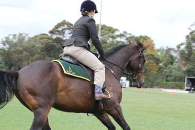 Man riding horse on field against sky